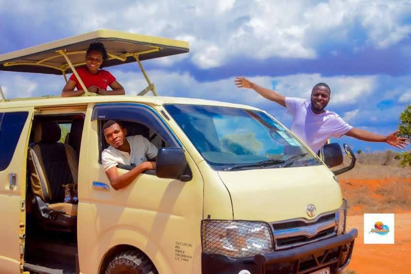 Safari Tours