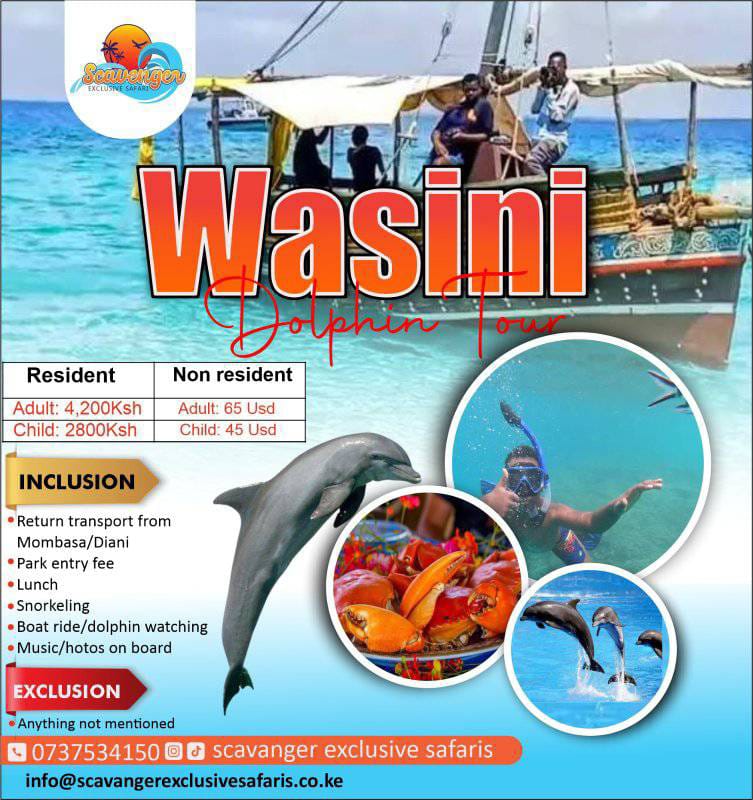 Wasini Dolphins